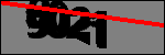 متن برای شناسایی